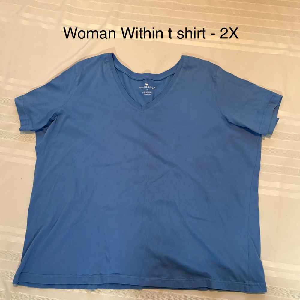 Woman Within Sky Blue V-Neck Tee